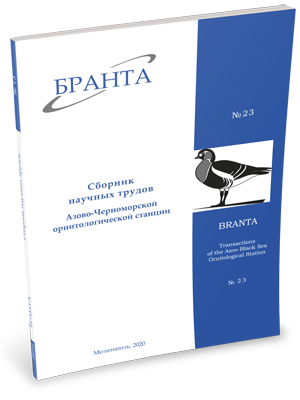 Branta Issue №23 (2020)
